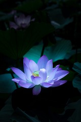 200106