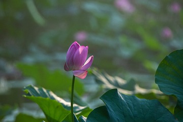 199009
