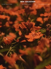 2D80AD5E-B8BB-489E-A9D1-F0FA909D5854/L0/001