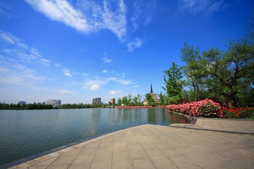 IMG_6349.JPG