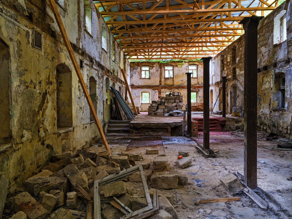 致早冬风起吹芦苇芦苇花正开