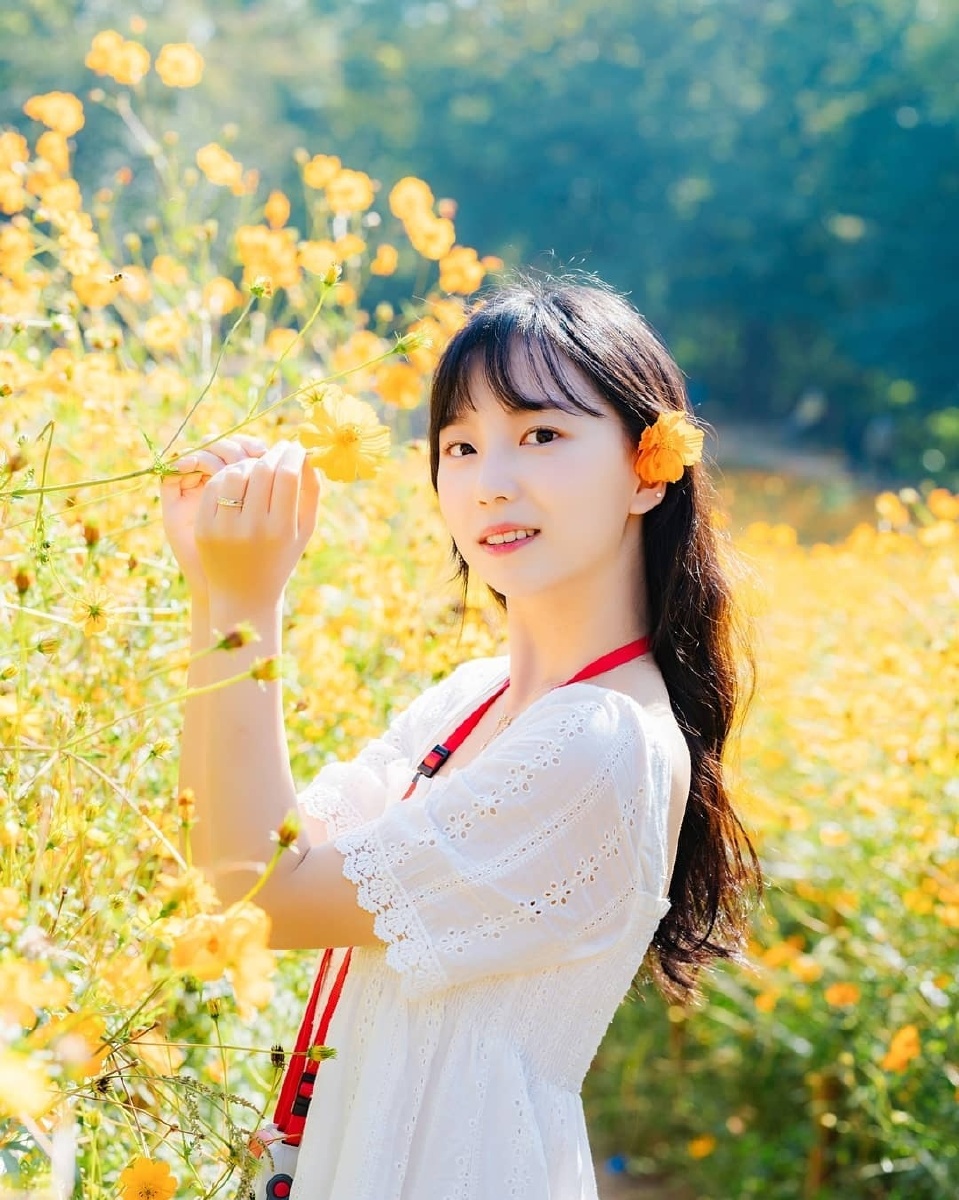 金黄色的花海美女时尚靓妹