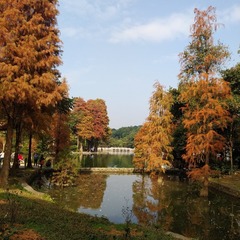 AB07E3D9-0468-4969-A754-3726107D96BD/L0/001