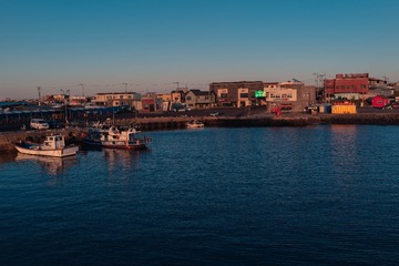 _DSC2299