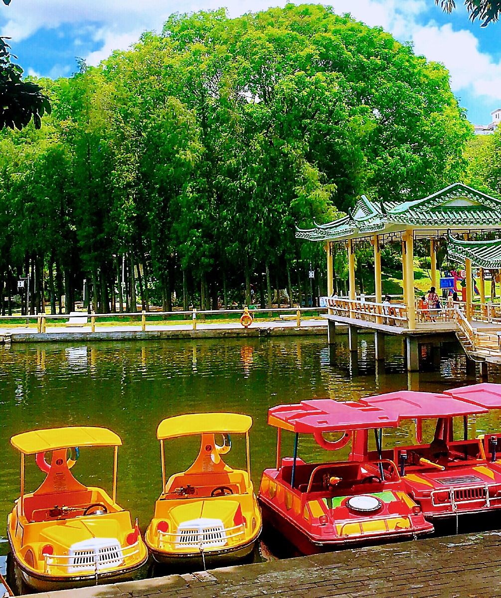 公园一角公园游船待发车