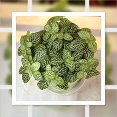 8D6B8555-DB9D-40F9-A7B9-7F4537C20D1D/L0/001