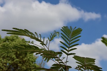 83E54145-86F7-45A7-9199-C3D2C3F84738/L0/001