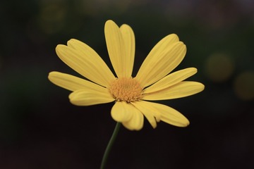 64E75230-9217-4A35-840D-000912D5F1C8/L0/001