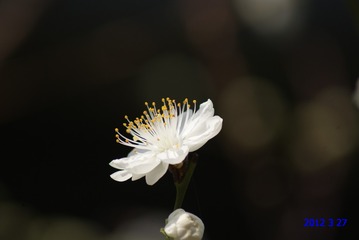 E338B27B-4E22-4E83-A490-18F0DF105018/L0/001