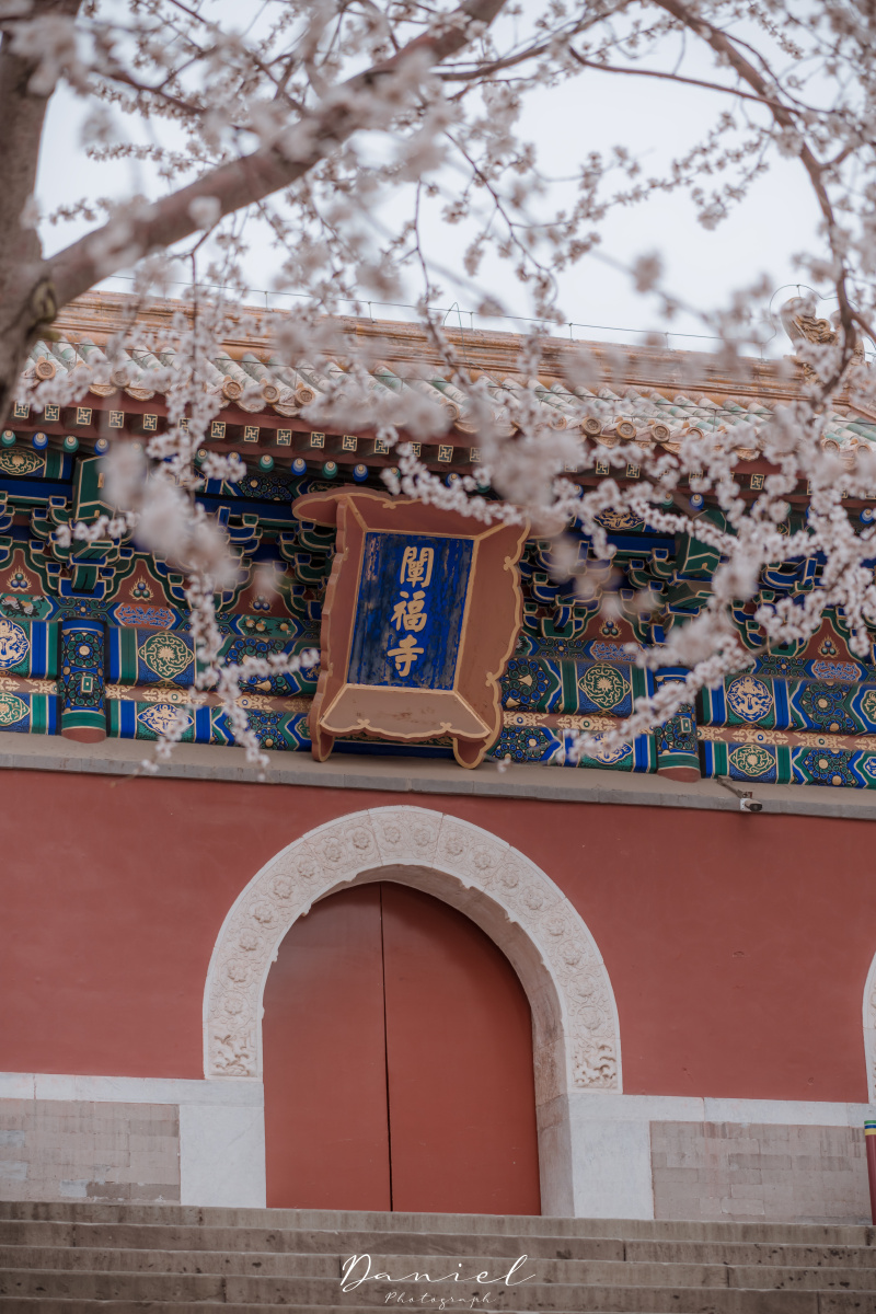 阐福寺 - 不二小生 - 图虫