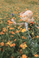 46B93072-906E-47ED-9E5A-E39226C140D7/L0/001