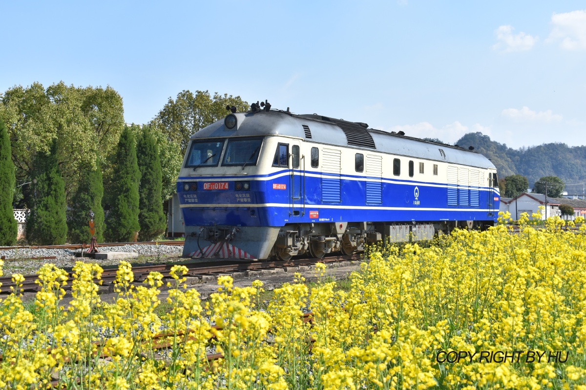 油菜花海里面浅蓝色火车头