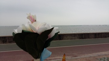 20170430_151242