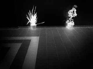 moto_0202