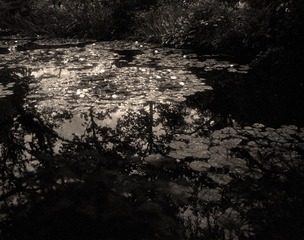 ROLLEI SUPERPAN200(2) 10