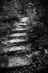 路