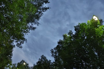 120042