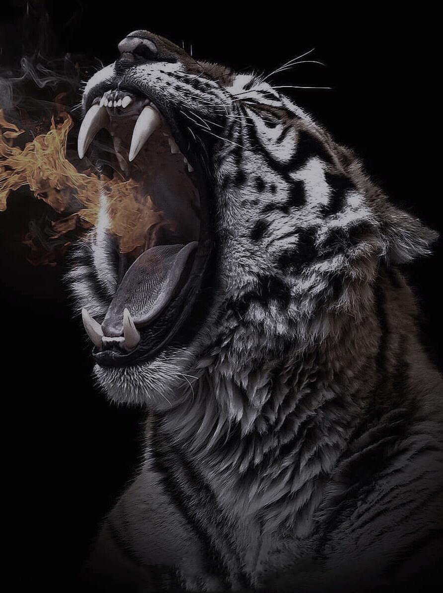 没有实力的愤怒毫无意义