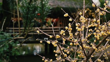 B87542AD-3AD9-42D0-9B04-22E09CB99AB7/L0/001