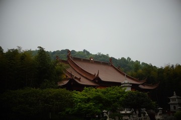 68D02B66-07DD-476A-B9C4-AC5028095853/L0/001