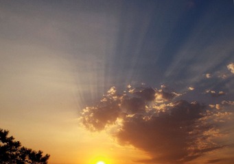 DSCF9810_