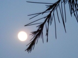 DSCF9932_