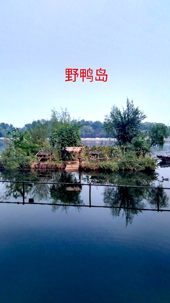 野鸭岛