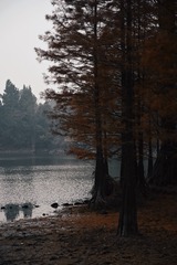 AFF156AA-F712-4359-B94F-028AEB82F2FB/L0/001