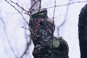 5D310F00-E208-4A86-956F-D3BF43525163/L0/001