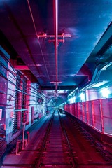 50018