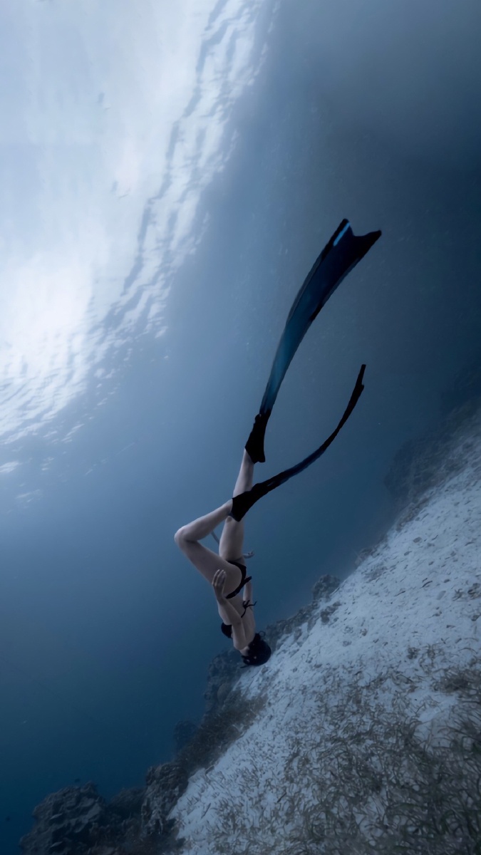 潜水- 美景美图一起来分享