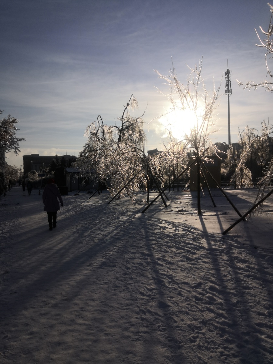 场大雪三天后变雪景吸引眼球快来吧东北延边欢迎全国人民享受白雪盛宴
