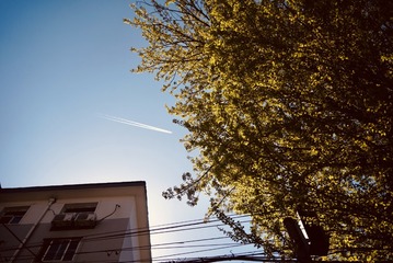 BDBF4D22-D2C0-4713-81C0-872793980446/L0/001