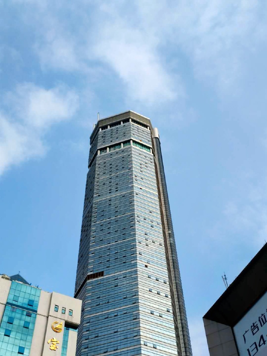 中国电子第一街赛格大厦