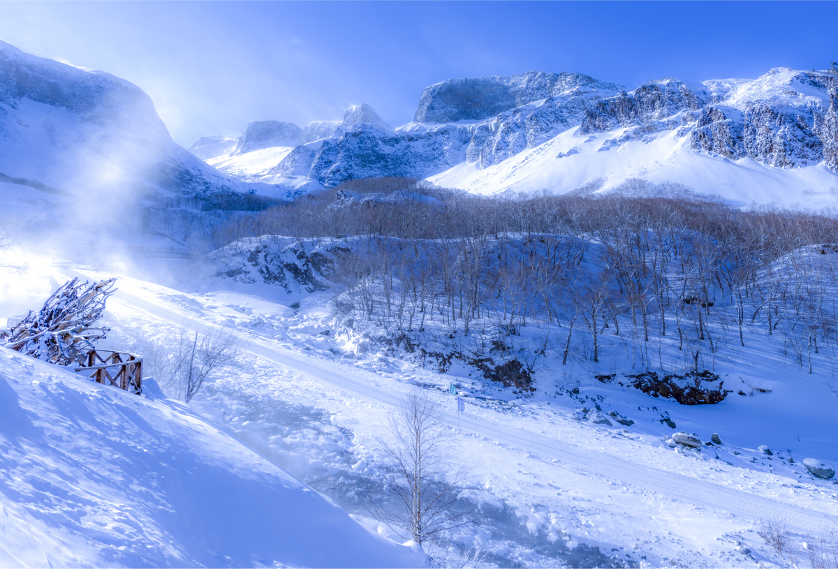 风吹雪飘