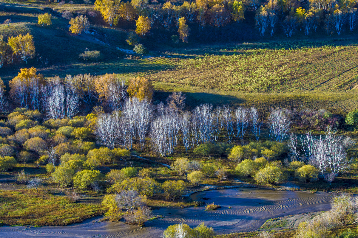 dsc2553 - 天田新异 - 图虫摄影网