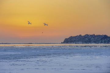 DSC_7628