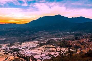 元阳梯田