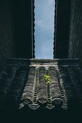 1000101027