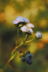 9C1085D5-F170-4B67-B12C-592912EBAE4C/L0/001
