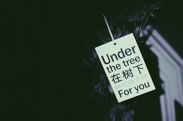 5BF78469-7686-4DCE-AA59-82554766E0E8/L0/001