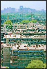 _MG_6785-1