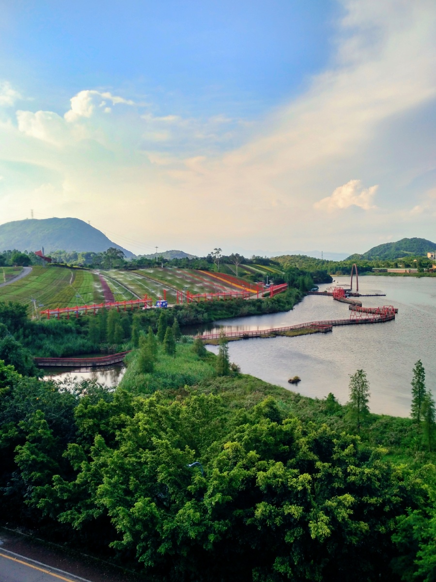 这是深圳东部华侨城风景特别好是暑假的时候去玩的