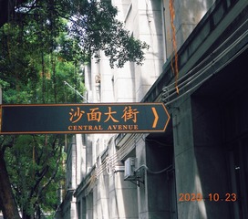 Optional(