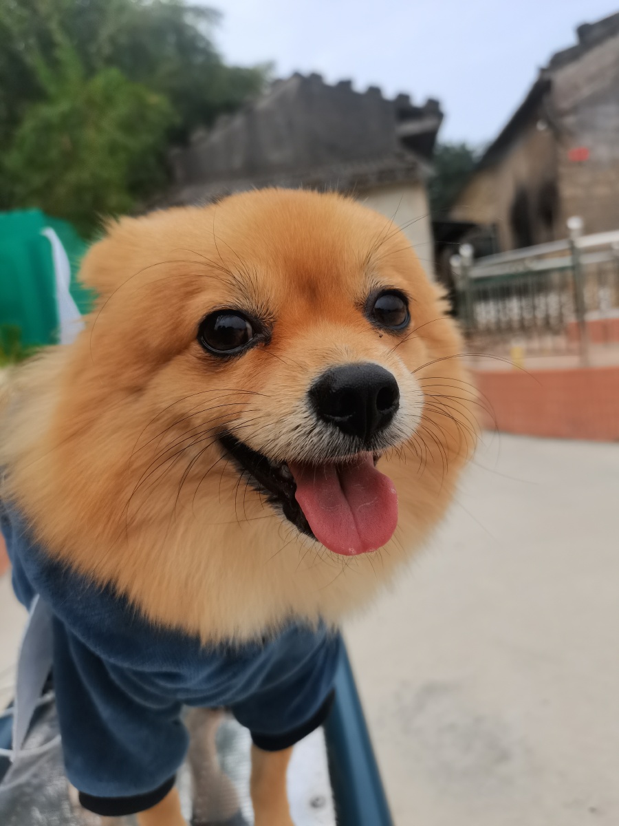 我家小宝贝笑的好开森