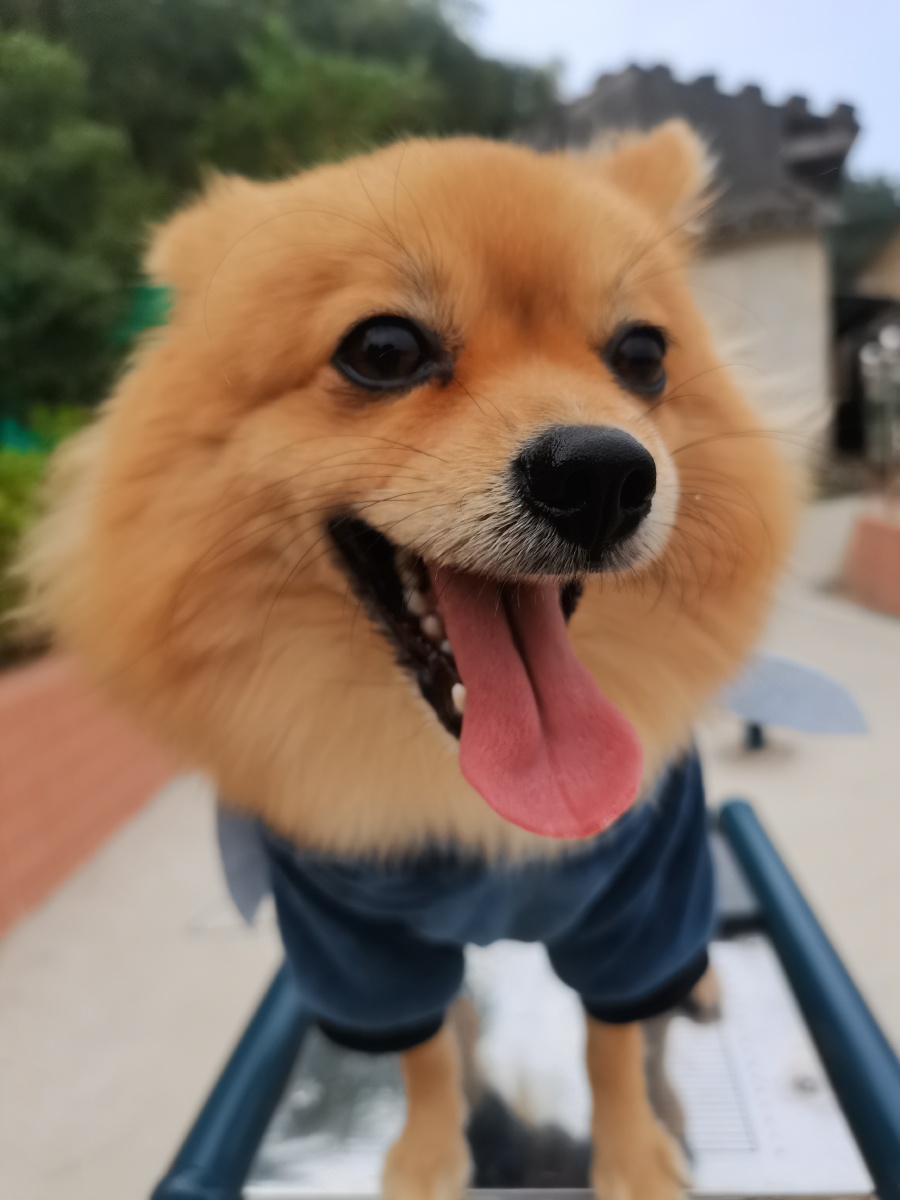 我家小宝贝笑的好开森