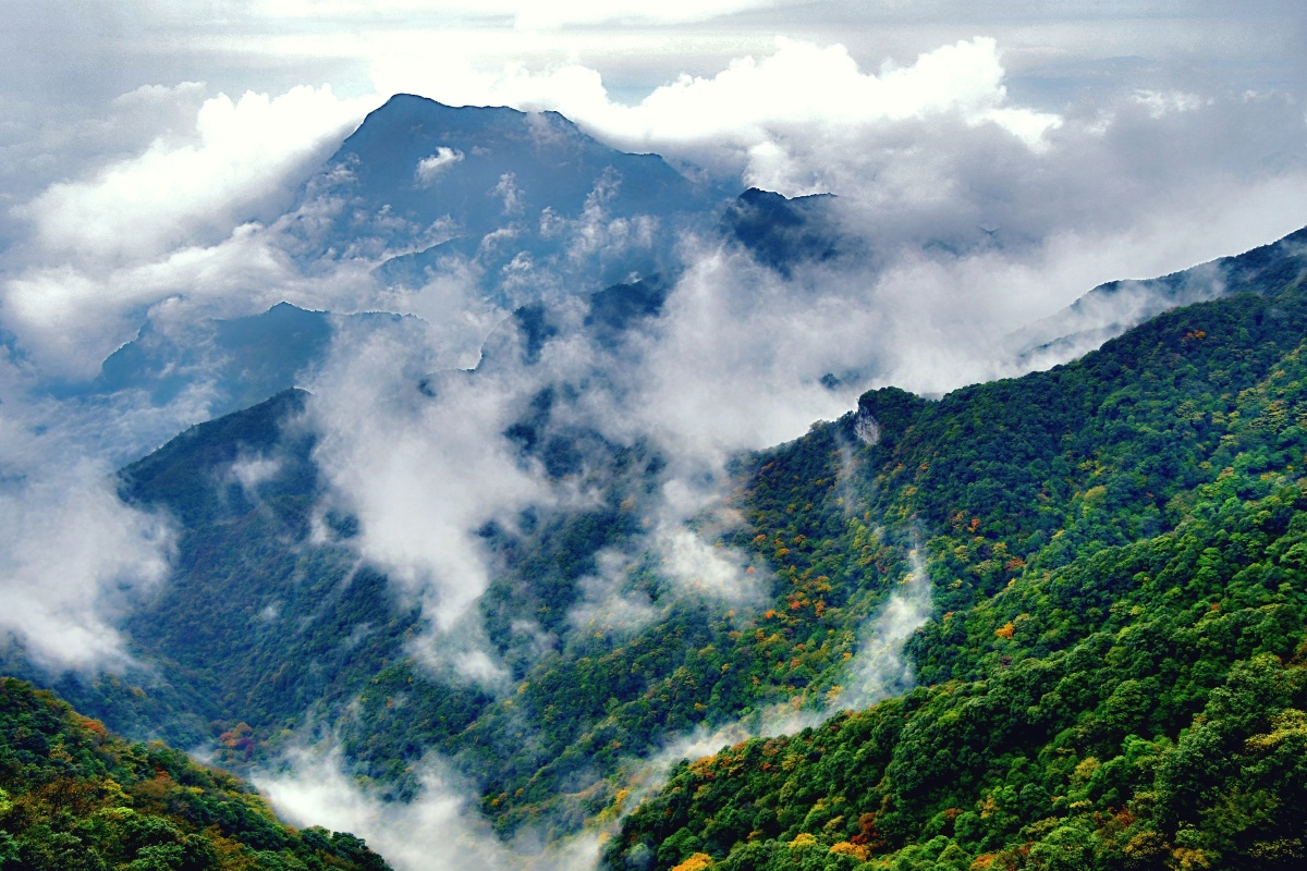 重庆金佛山云海