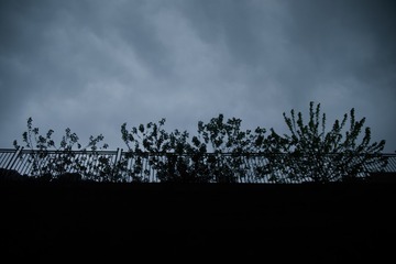 CA98C1C7-D5D8-405E-83EC-BF34DF910E53/L0/001