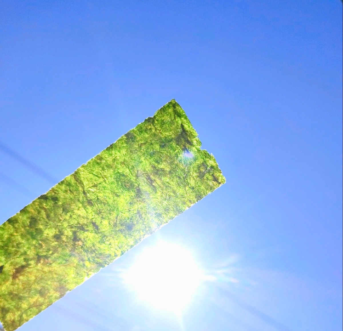 明天依旧光芒万丈配图,光芒万丈动图(第2页)_大山谷图库