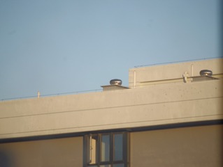 2004779